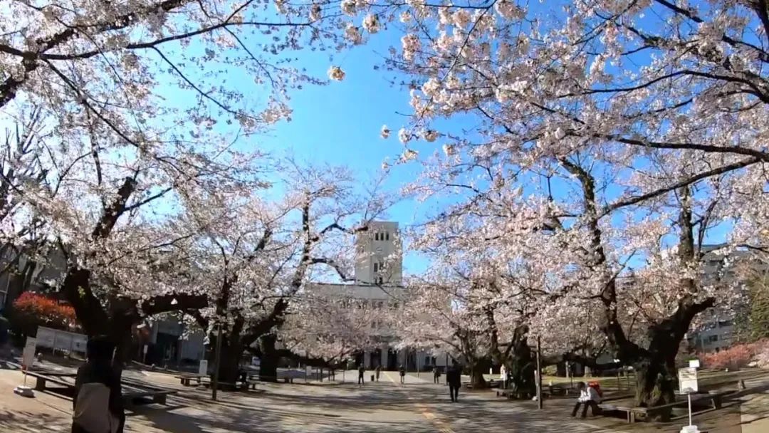 东京工业大学